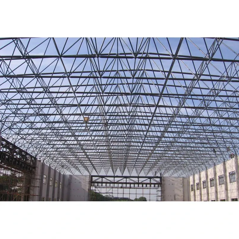 ကြီးမားသော Span Steel Space Frame Structure ၊
